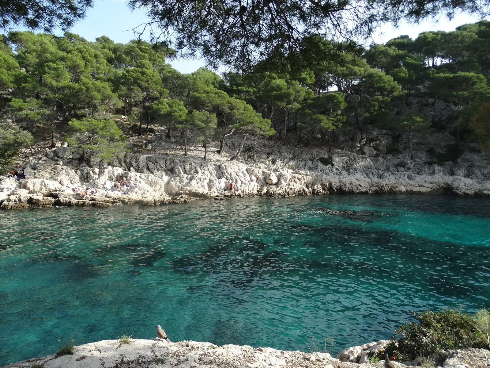 Calanques Cassis Marseille
