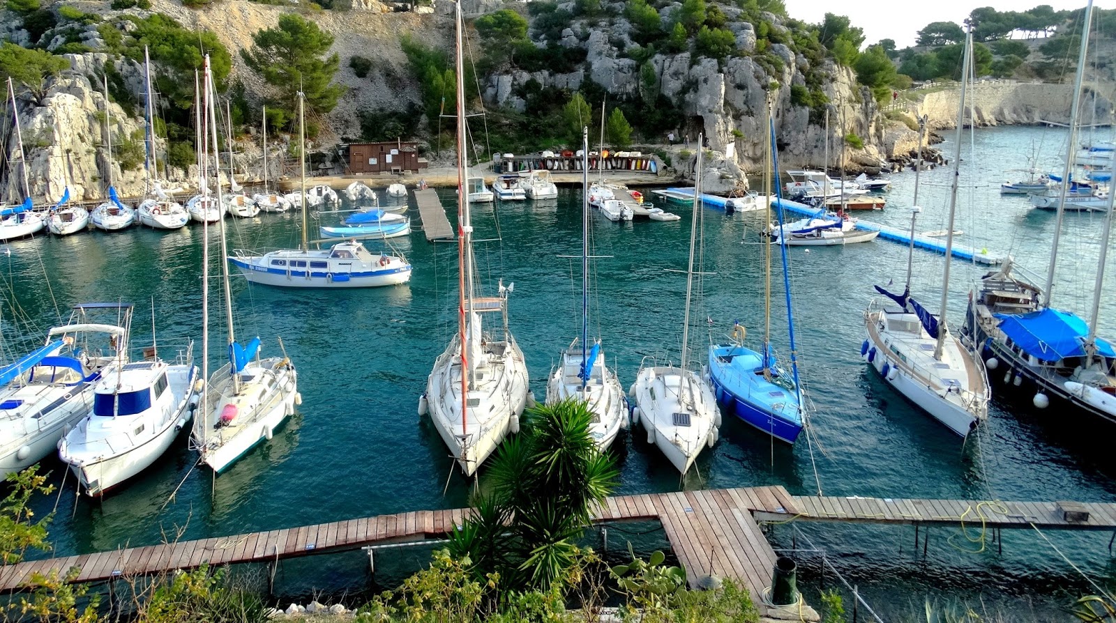 À la découverte des calanques de Port-Miou et de Port-Pin